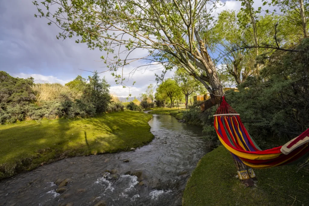 Relax with stream and hammock