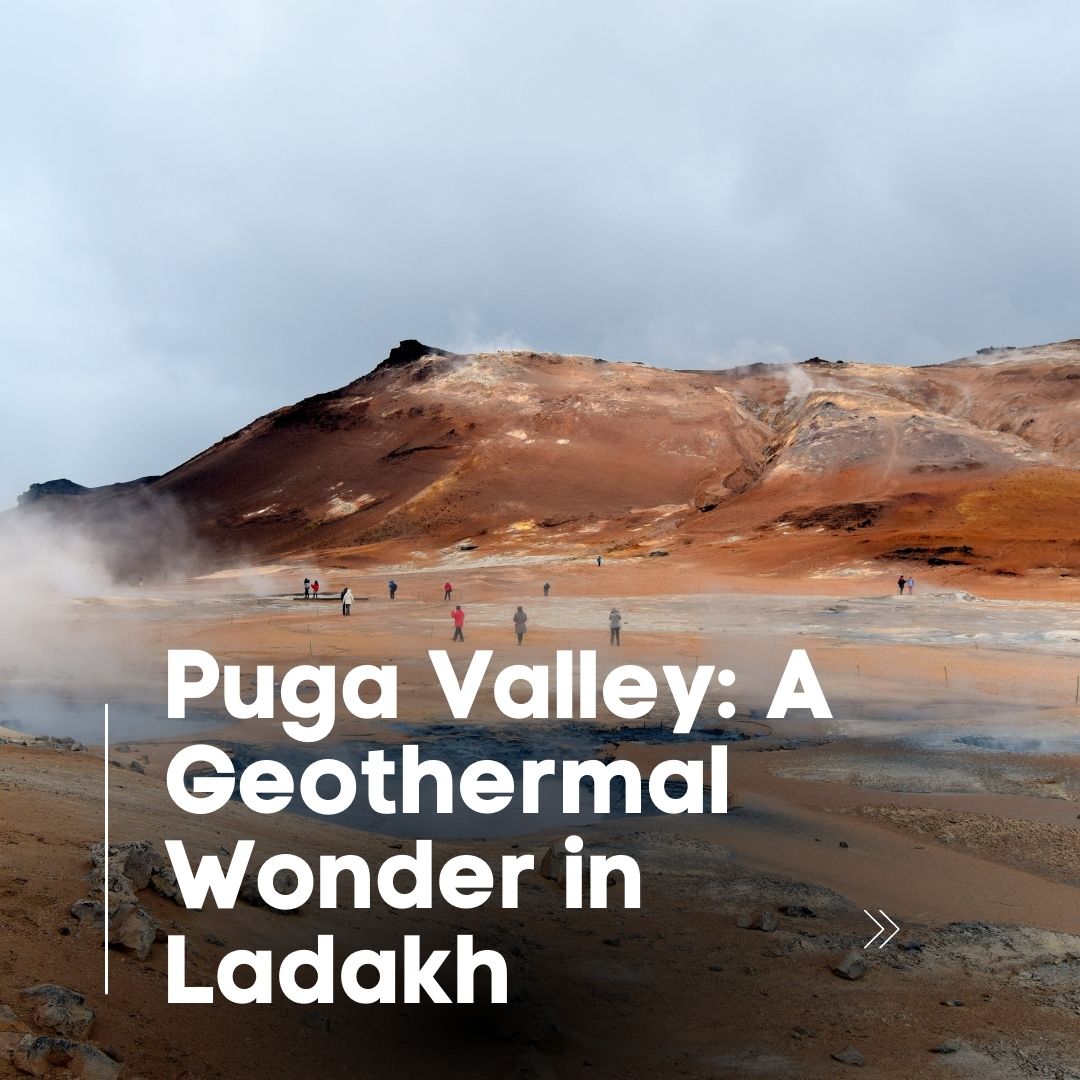 puga valley ladakh