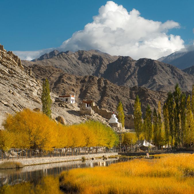 ladakh solo