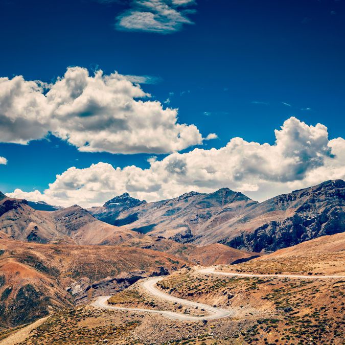 ladakh wildlife